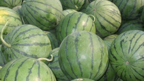 吃瓜星娱乐为什么说人类要吃盐,吃瓜星娱乐视角下的盐与人类生存之谜